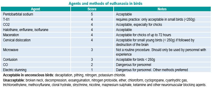 Euthanasia birds